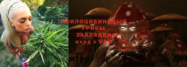 спиды Армянск