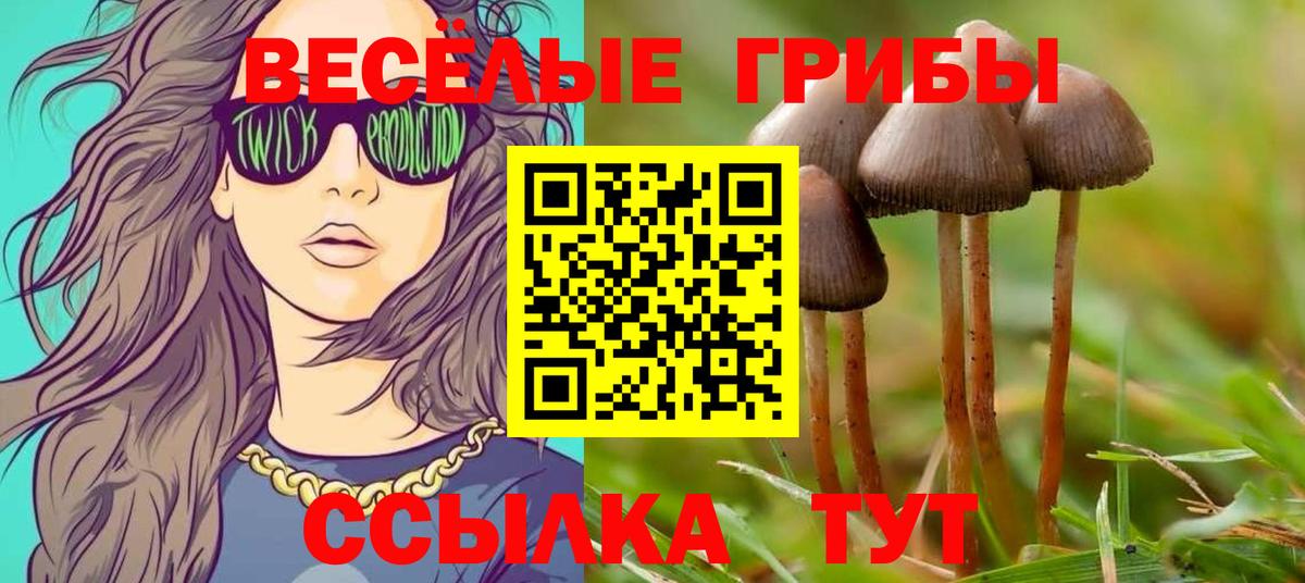 Псилоцибиновые грибы Magic Shrooms  Галлюциногенные грибы прущие грибы  Вход с VPN  Спасск-Дальний 